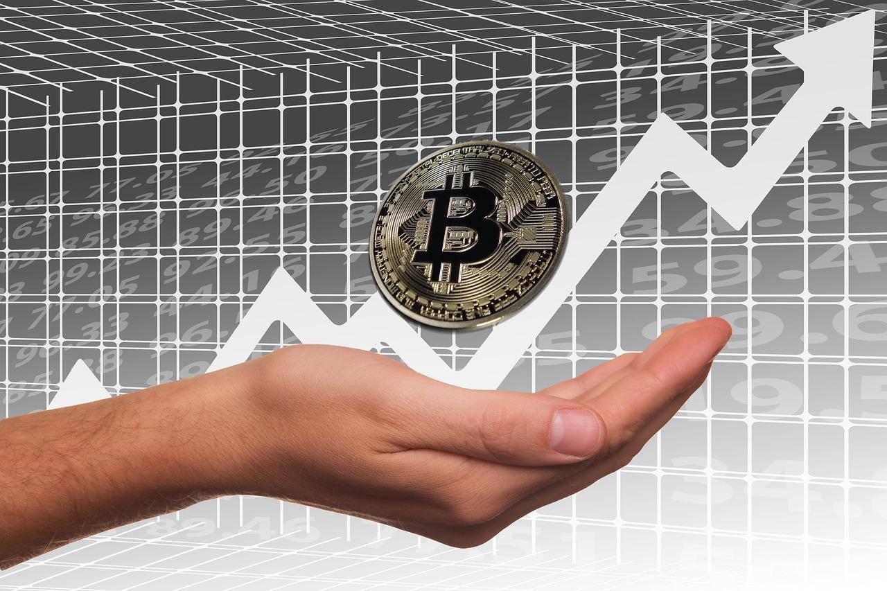 虚拟币btc(虚拟币btc行情怎么样)