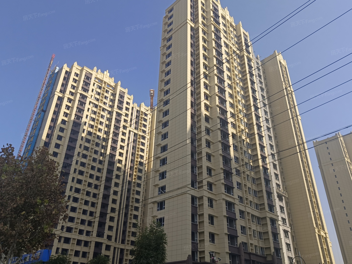 龙阁(龙阁短剧)